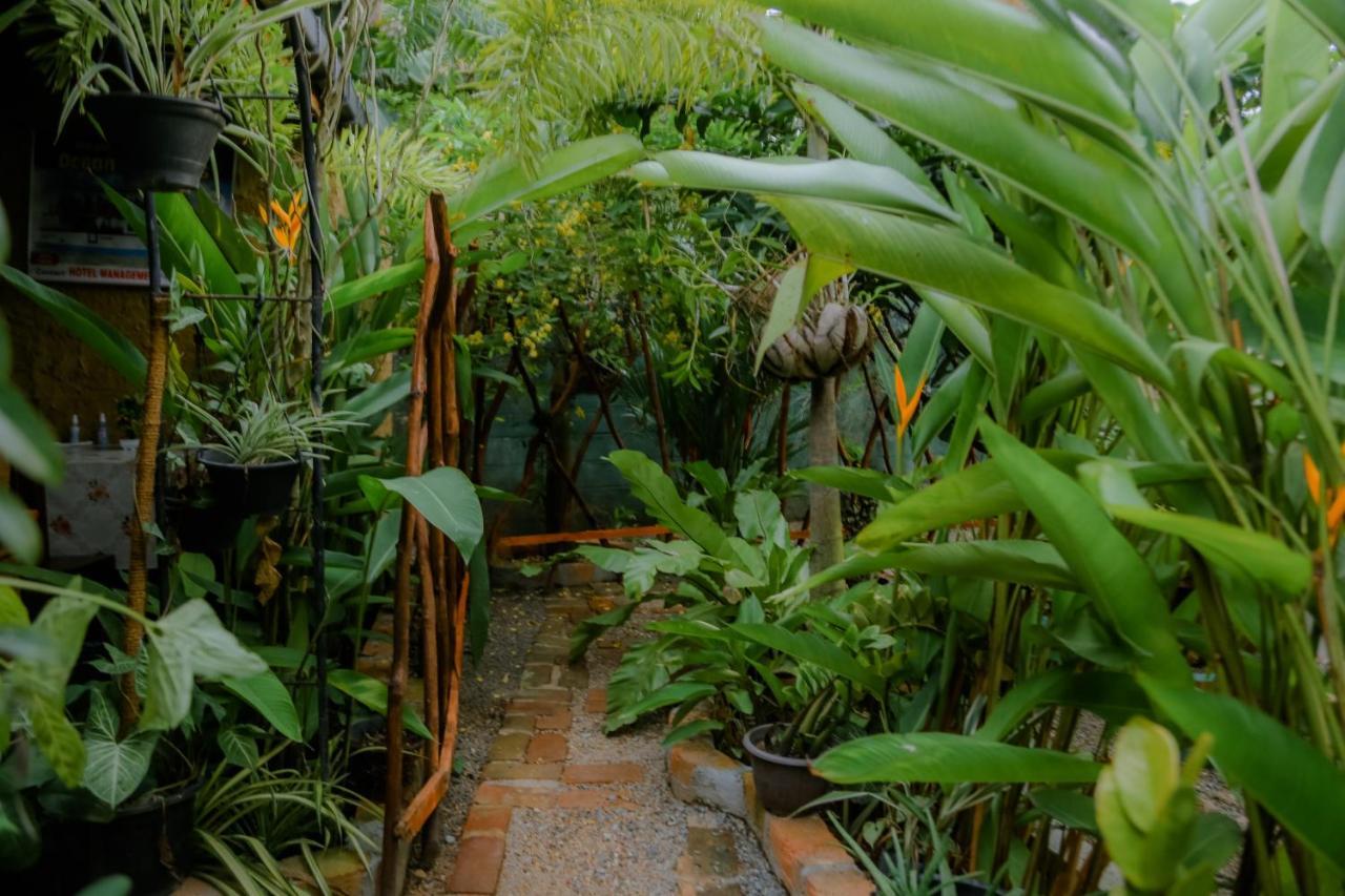 Ruwan Jungle Homestay Mirissa Exteriör bild