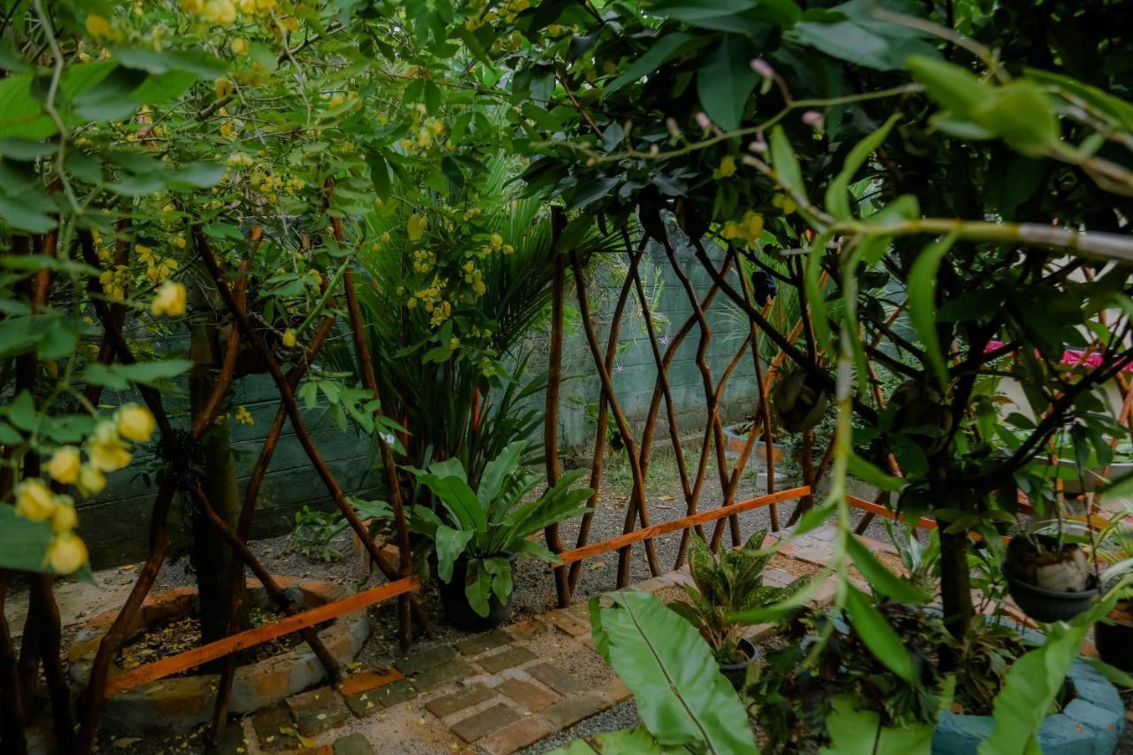 Ruwan Jungle Homestay Mirissa Exteriör bild