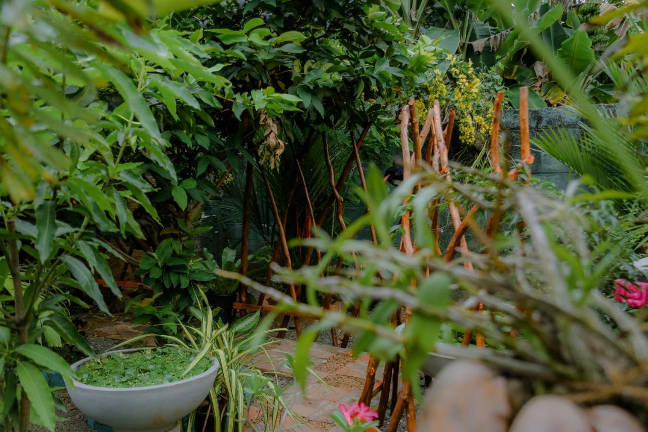 Ruwan Jungle Homestay Mirissa Exteriör bild