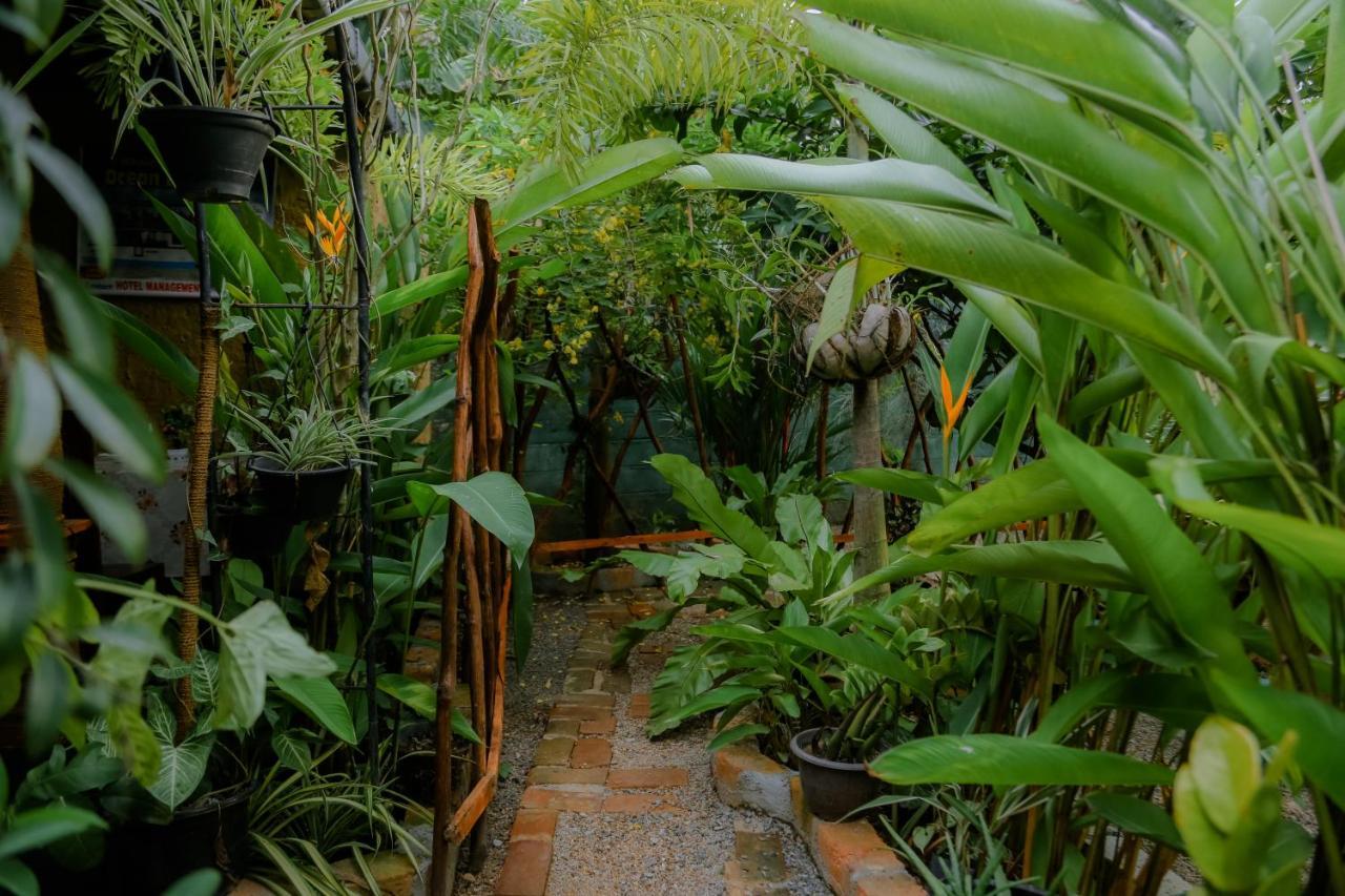 Ruwan Jungle Homestay Mirissa Exteriör bild