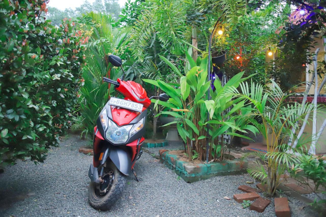 Ruwan Jungle Homestay Mirissa Exteriör bild