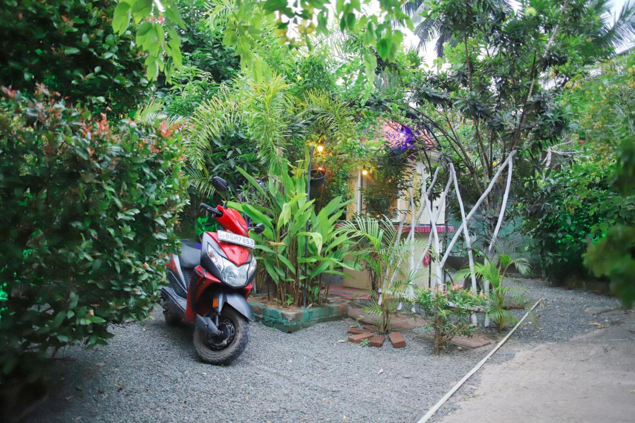 Ruwan Jungle Homestay Mirissa Exteriör bild