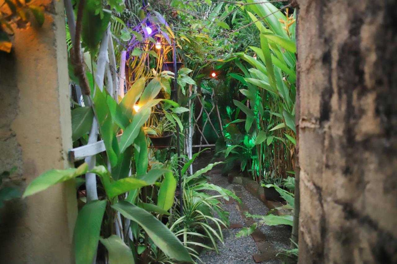 Ruwan Jungle Homestay Mirissa Exteriör bild