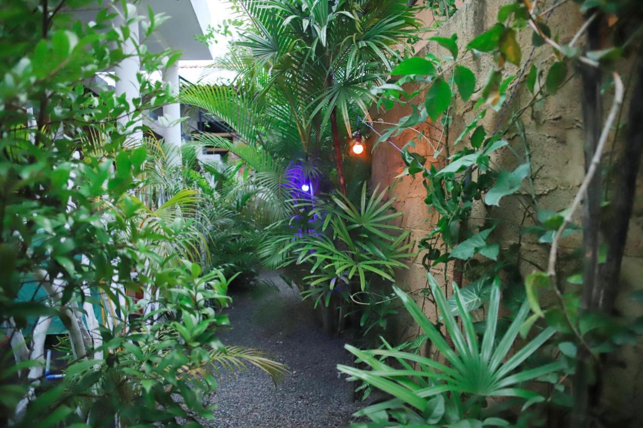 Ruwan Jungle Homestay Mirissa Exteriör bild