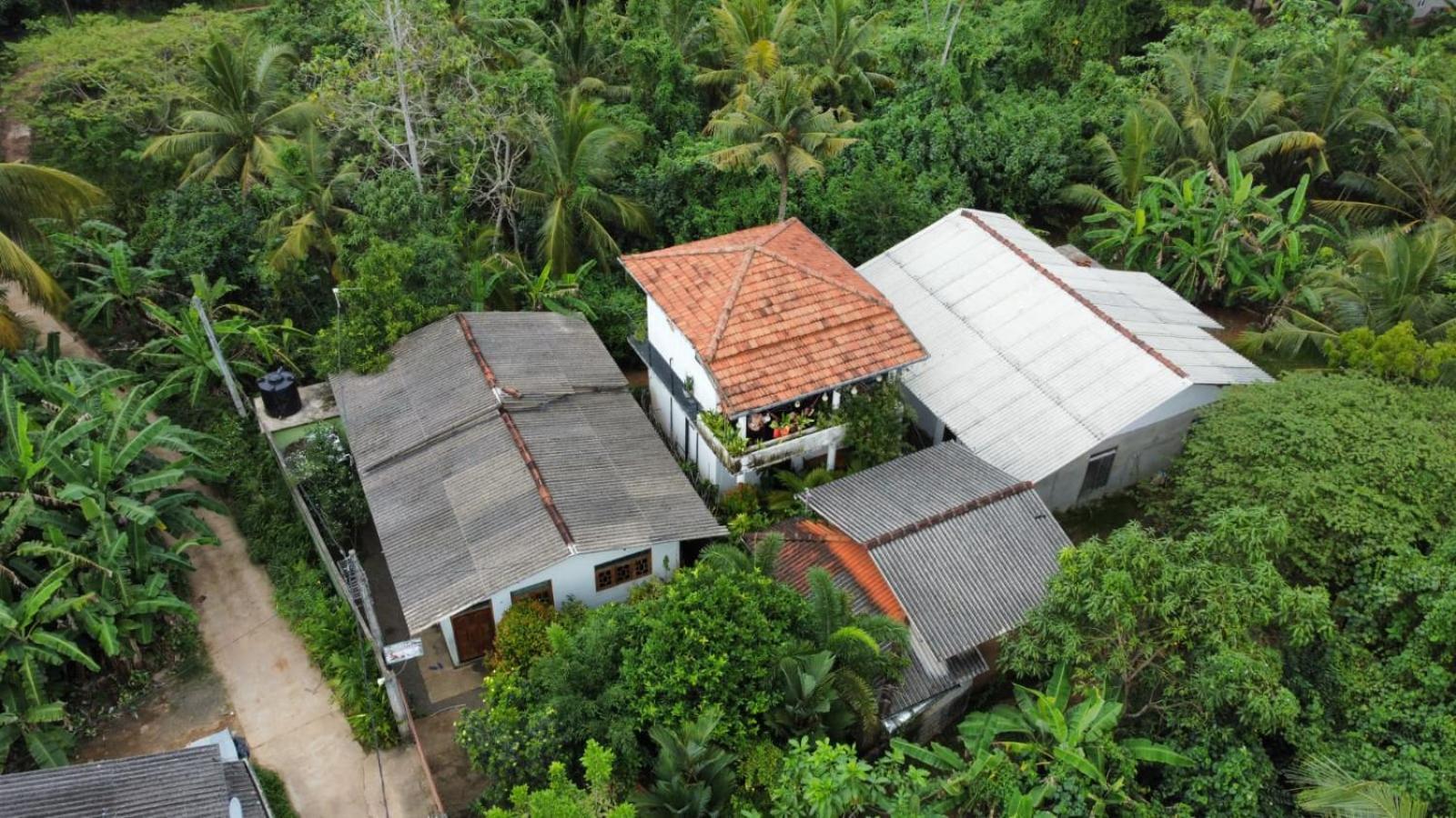 Ruwan Jungle Homestay Mirissa Exteriör bild