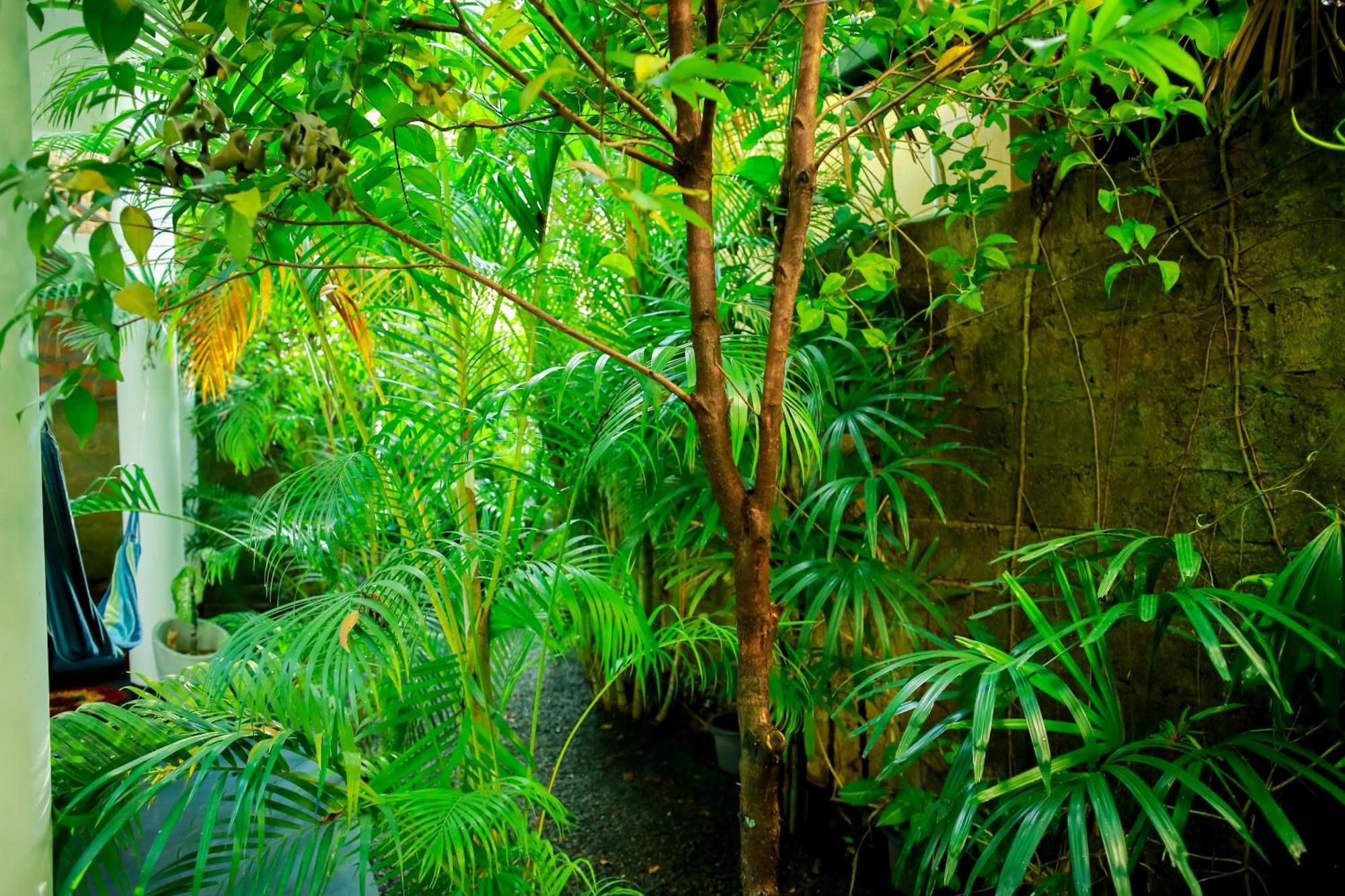Ruwan Jungle Homestay Mirissa Exteriör bild