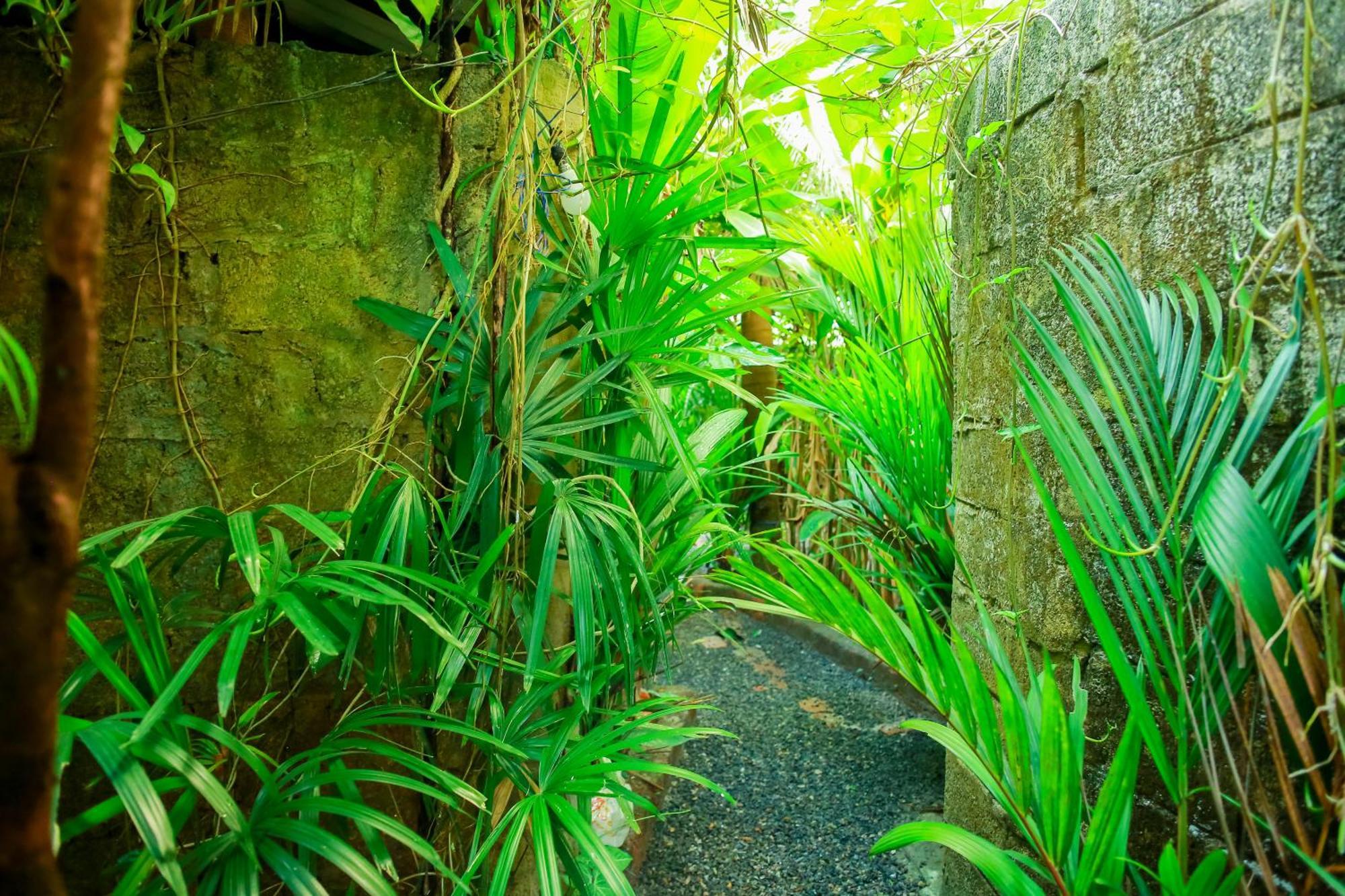 Ruwan Jungle Homestay Mirissa Exteriör bild