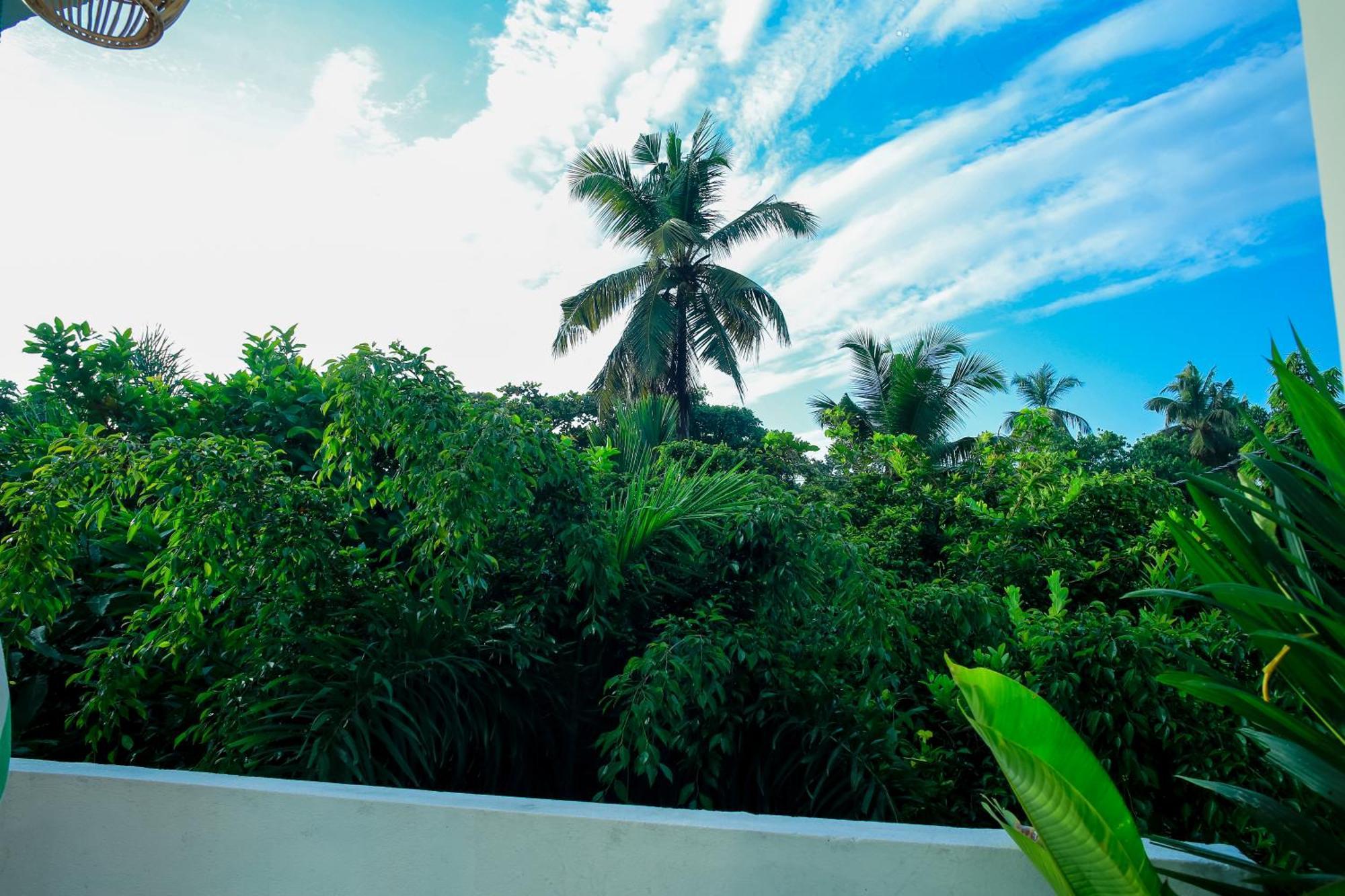 Ruwan Jungle Homestay Mirissa Exteriör bild