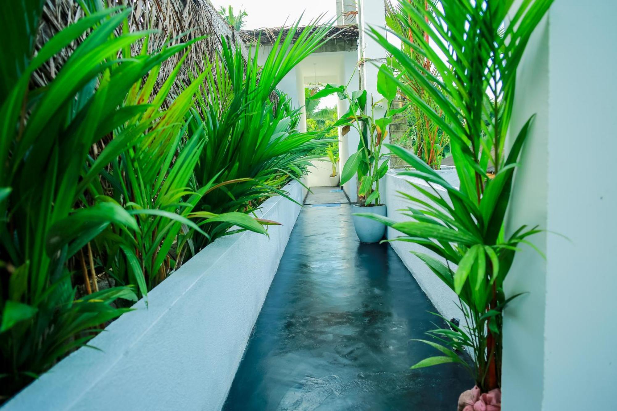 Ruwan Jungle Homestay Mirissa Exteriör bild