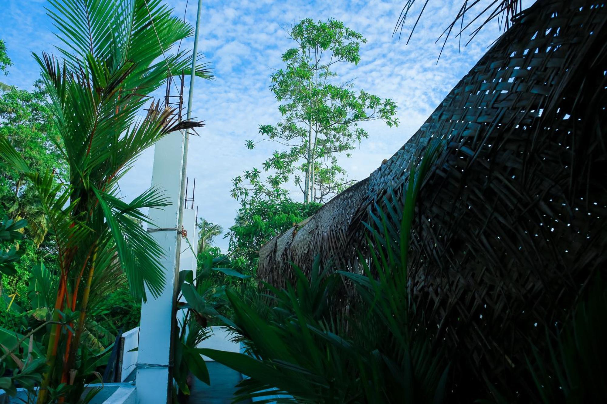 Ruwan Jungle Homestay Mirissa Exteriör bild