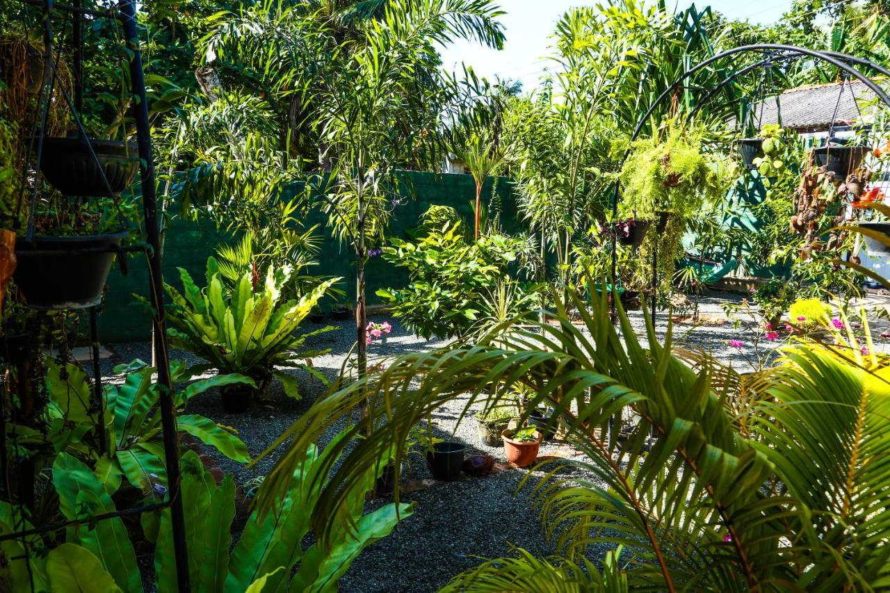 Ruwan Jungle Homestay Mirissa Exteriör bild